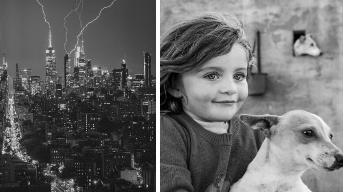 Переможці фотоконкурсу Exposure One Awards 2026