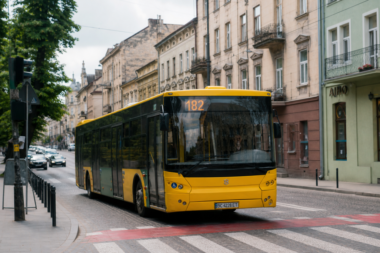 182 автобус (Приміський вокзал - с. Мальчиці) на фоні Львів